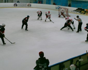 хоккейный матч-1 (1)