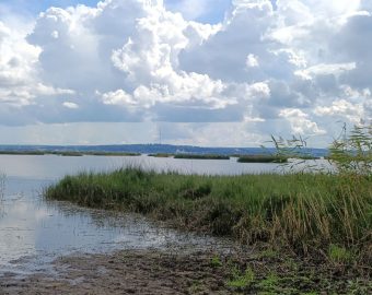 Туртропа «Галичское Заозерье»