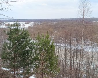 IMG_20260327_144952