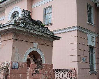 image (87)