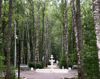 вичуга-парк4 (1)