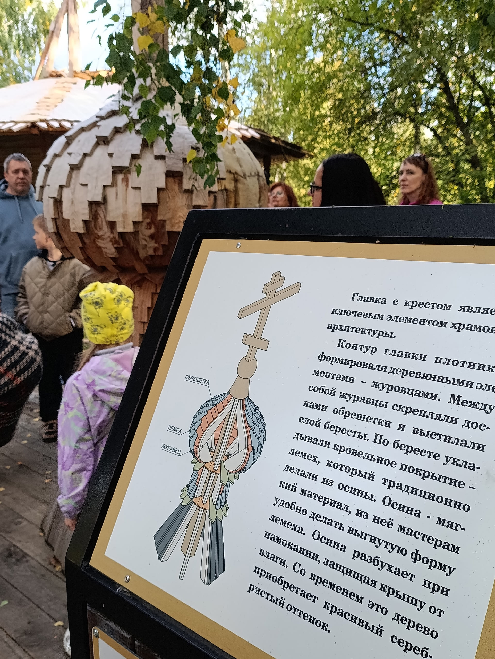 Дома на Руси предпочитали строить из осины