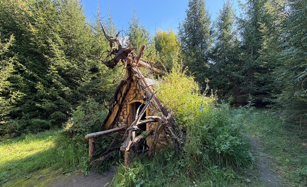 Сказочная избушка в Шокше в Галиче