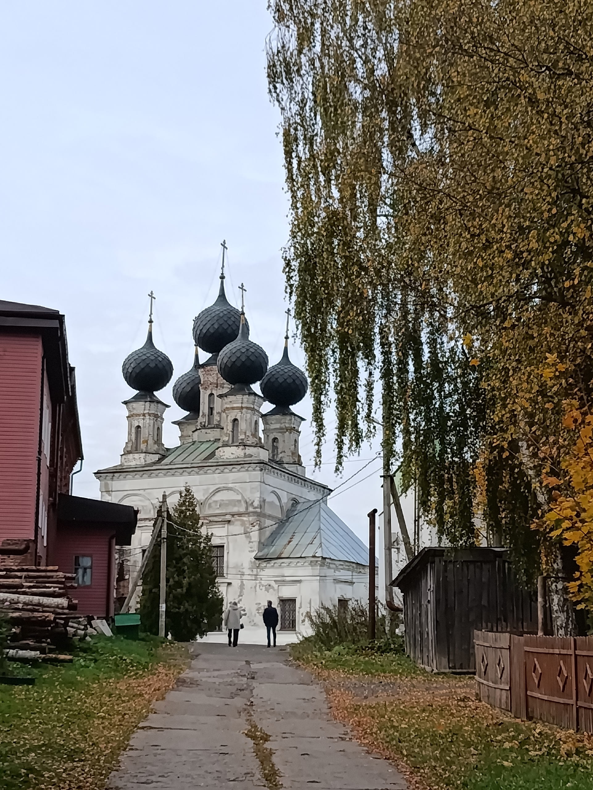 Золотая осень в поселке Сусанино и дорога к Воскресенскому храму.