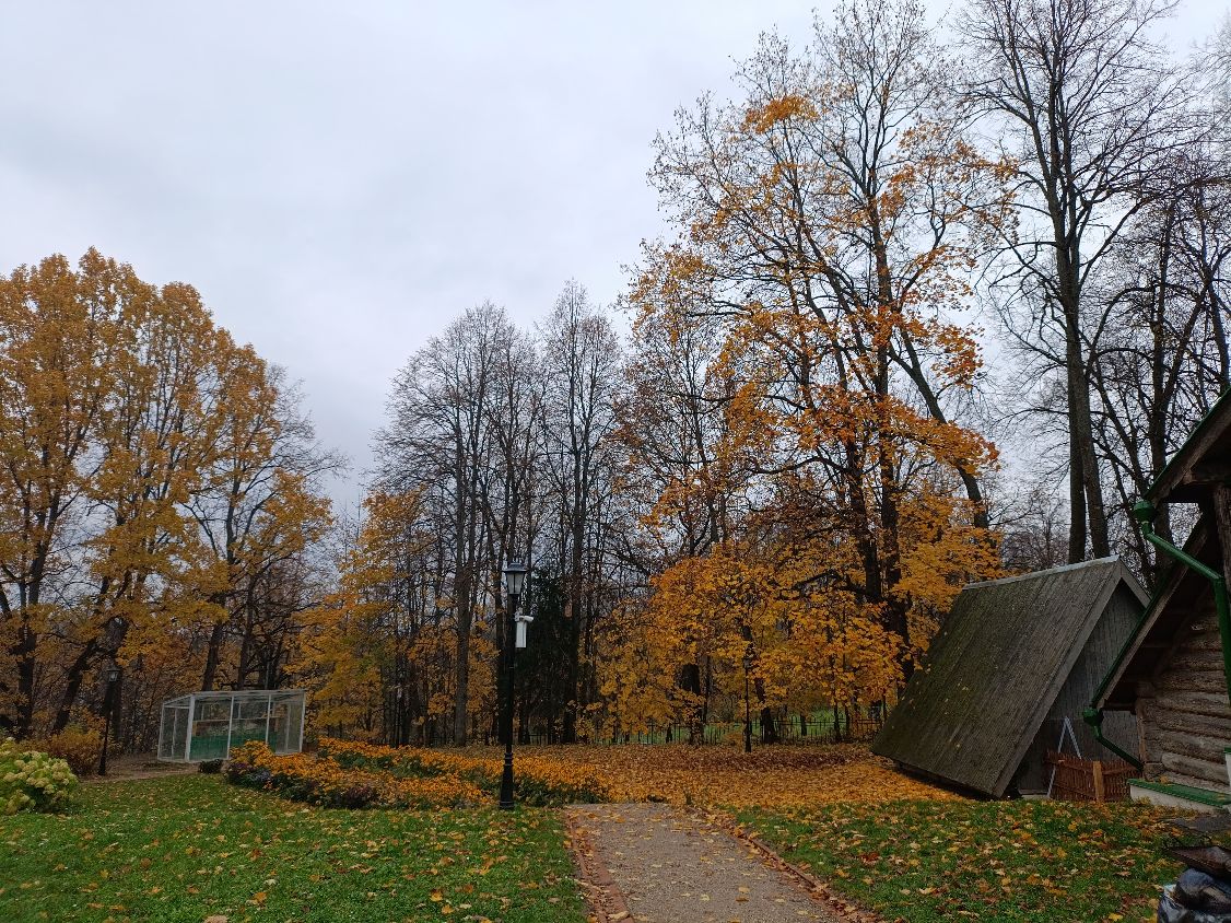 Деревья в парке Абрамцево переоделись в золотисто-багряные осенние тона.