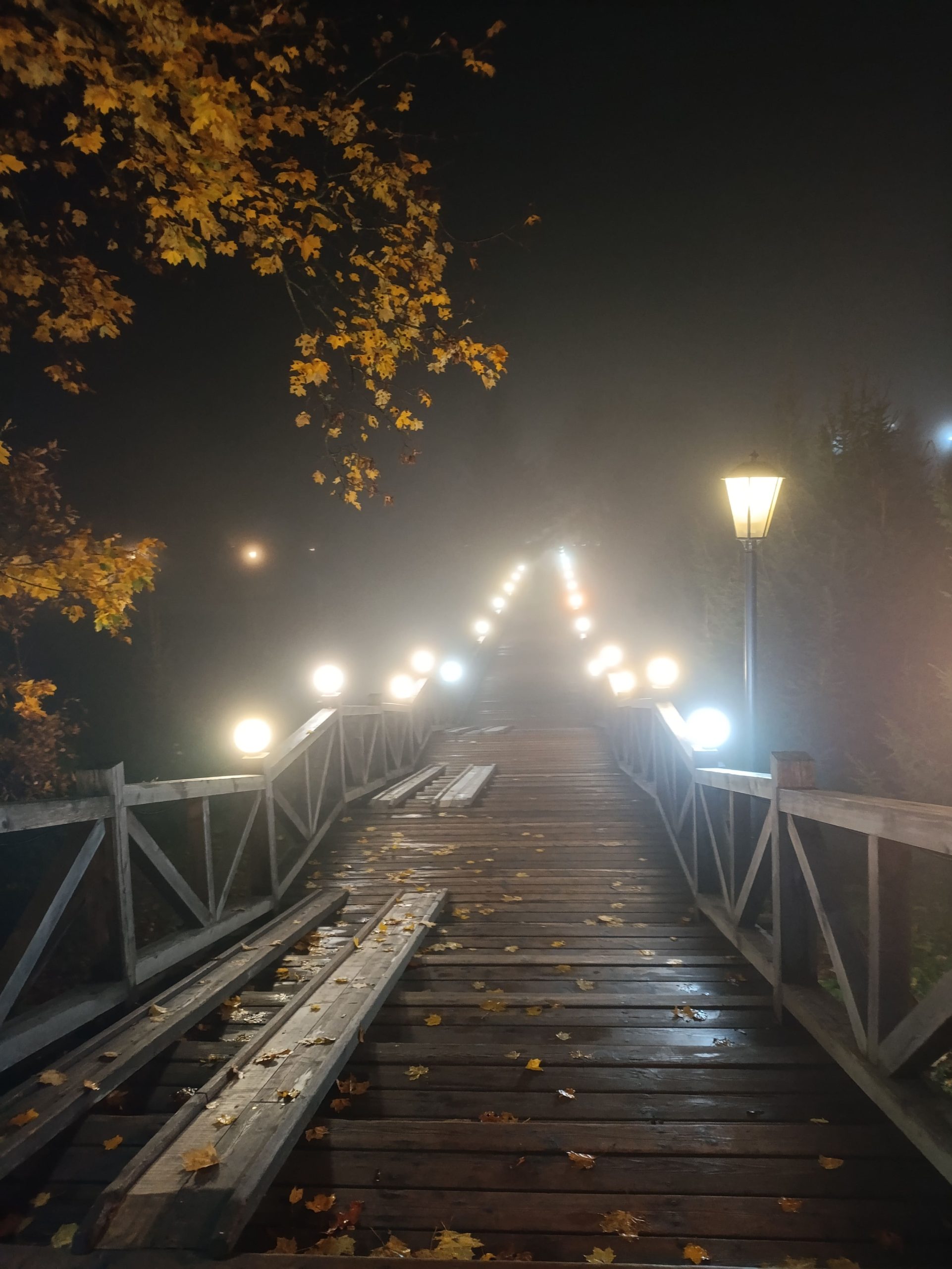 Деревянный помост, освещенный уличными фонарями, ведет к купальянм и источнику Гремячий ключ.