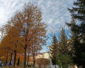 Золотая осень в Ипатьевском монастыое
